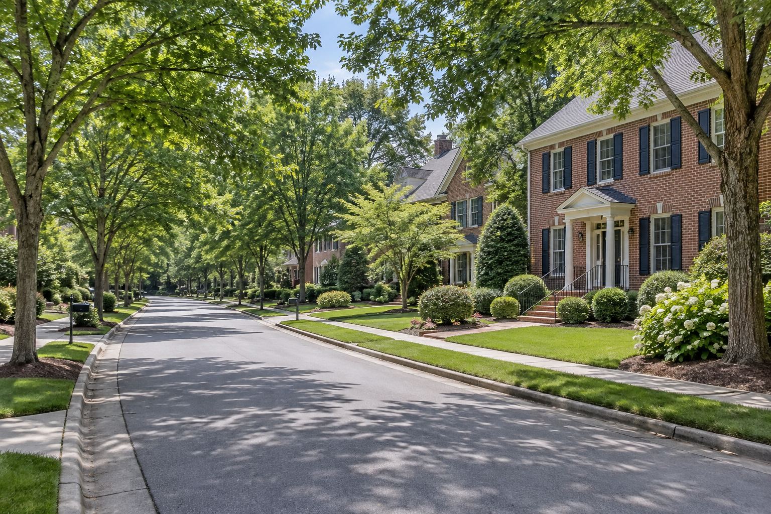 A tree lined Cary, North Carolina street, illustrative